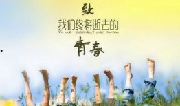 致我们终将逝去的青春在线观看,青春回忆录在线观看